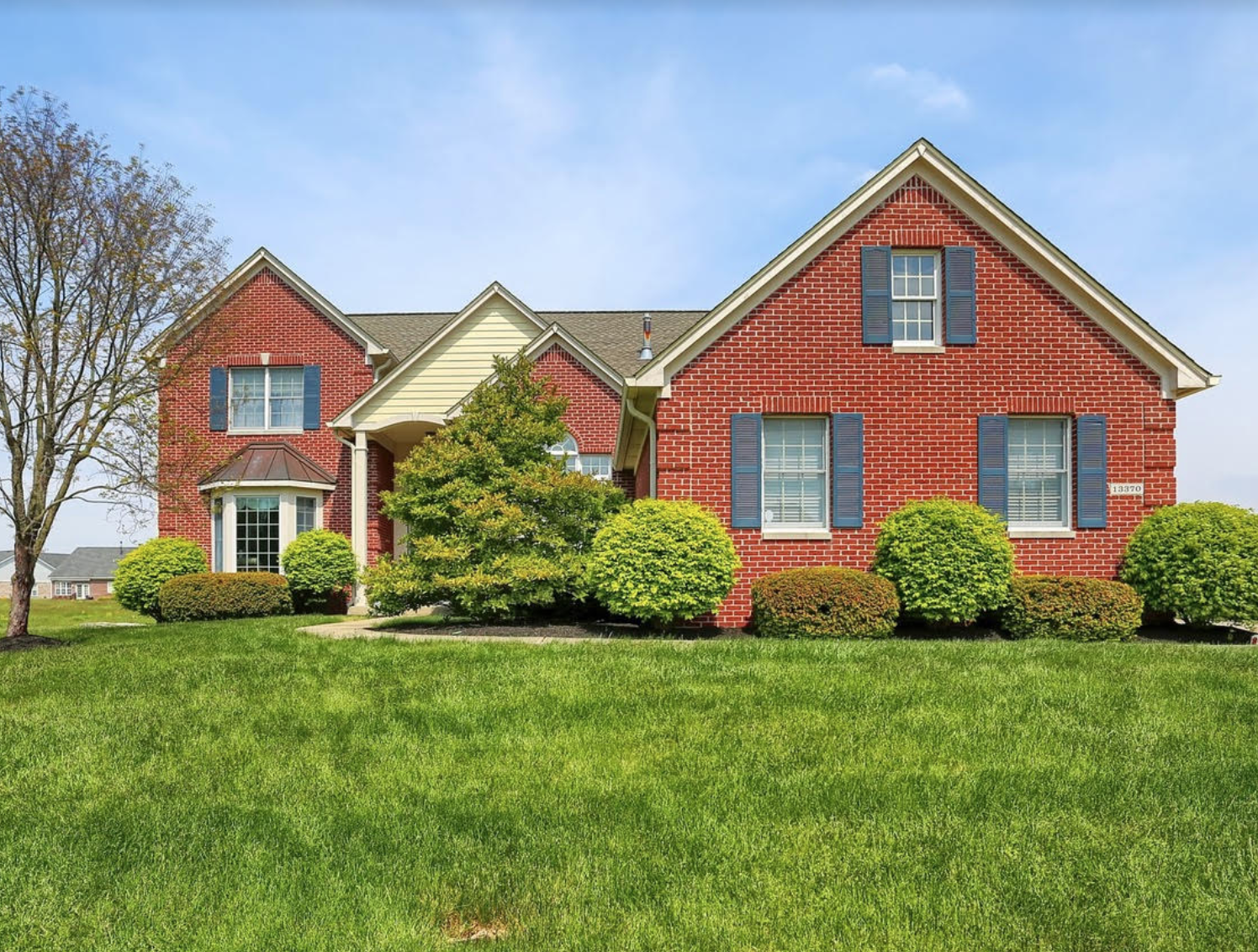 Screen Shot 2020-11-19 at 1.42.49 PM